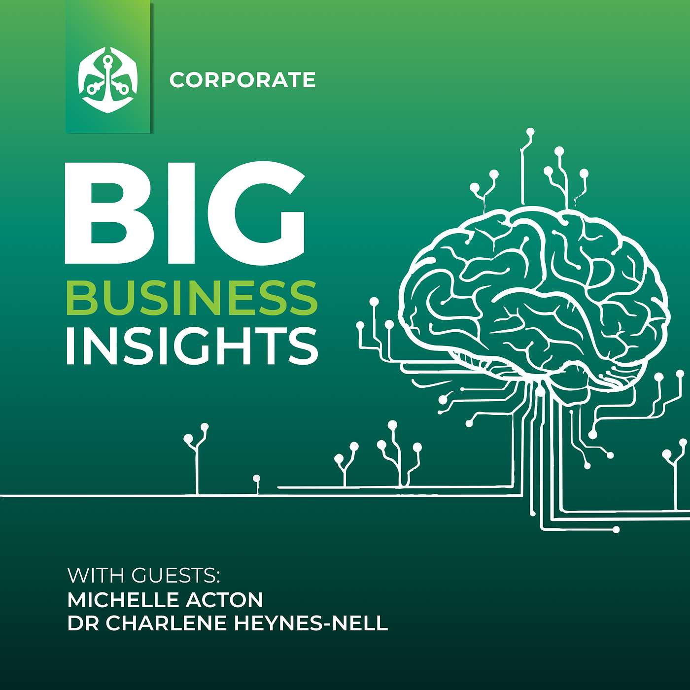 Big Business Insights: The neuroscience behind Two-Pot personas episode artwork