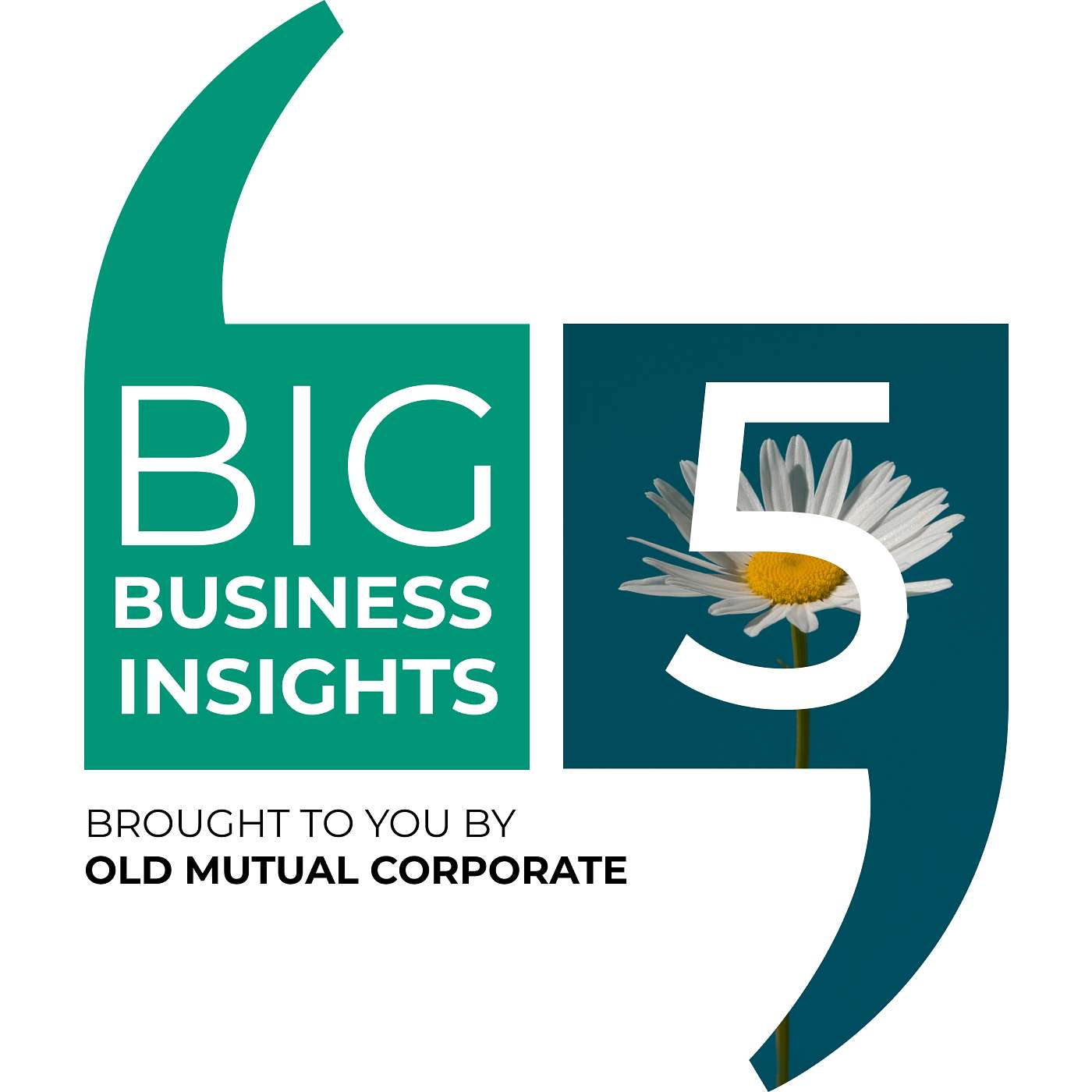 Big Business Insights: Work, womanhood, and the way forward episode artwork