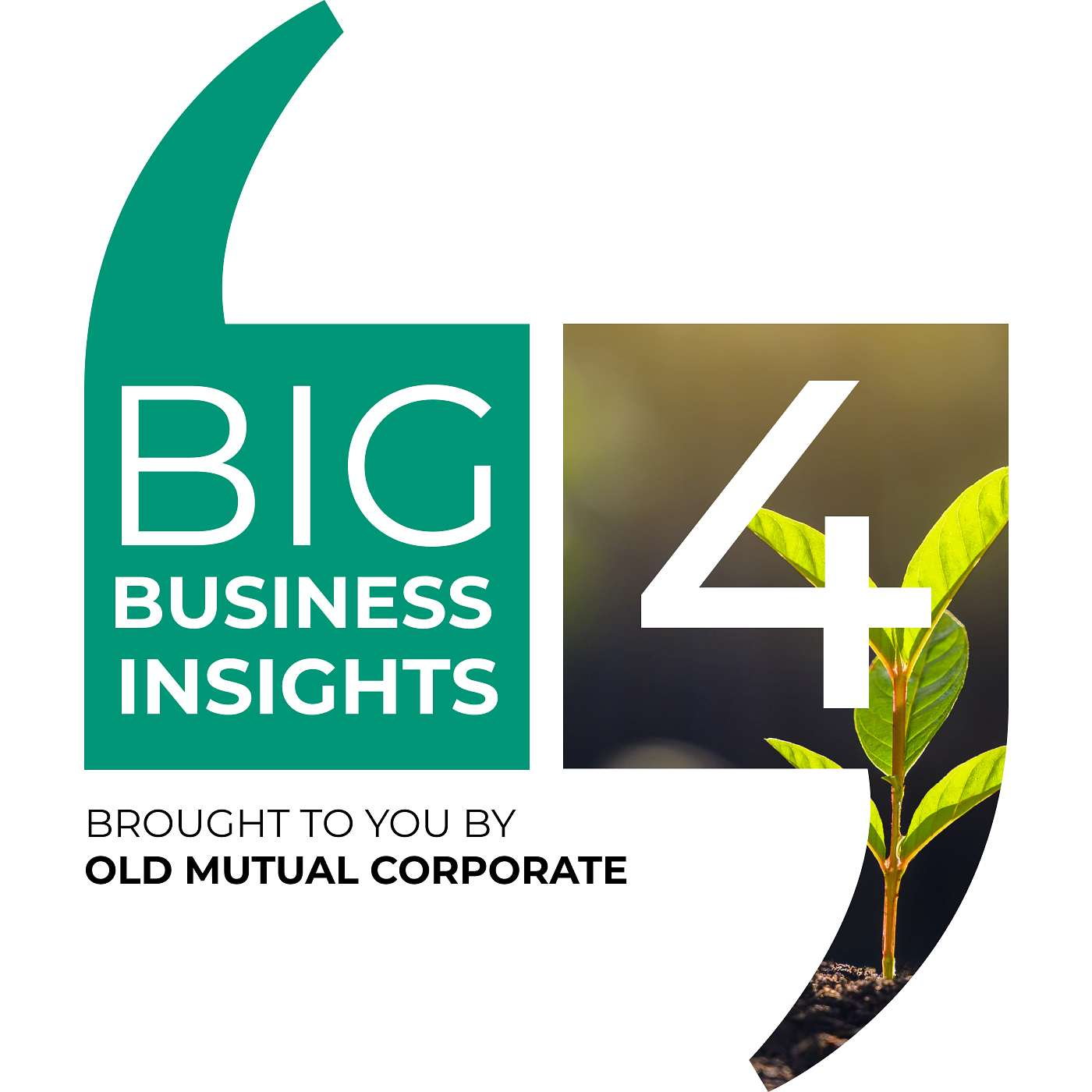 Big Business Insights: Why financial wellness programmes don't always work episode artwork