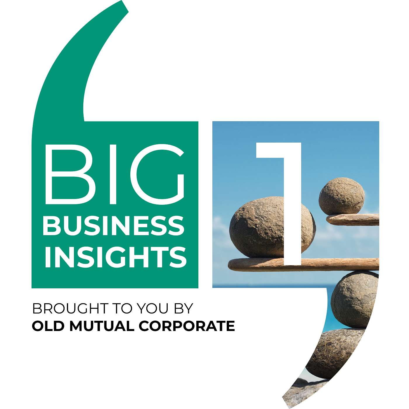 Big Business Insights: Leadership: How to balance authority and empathy episode artwork