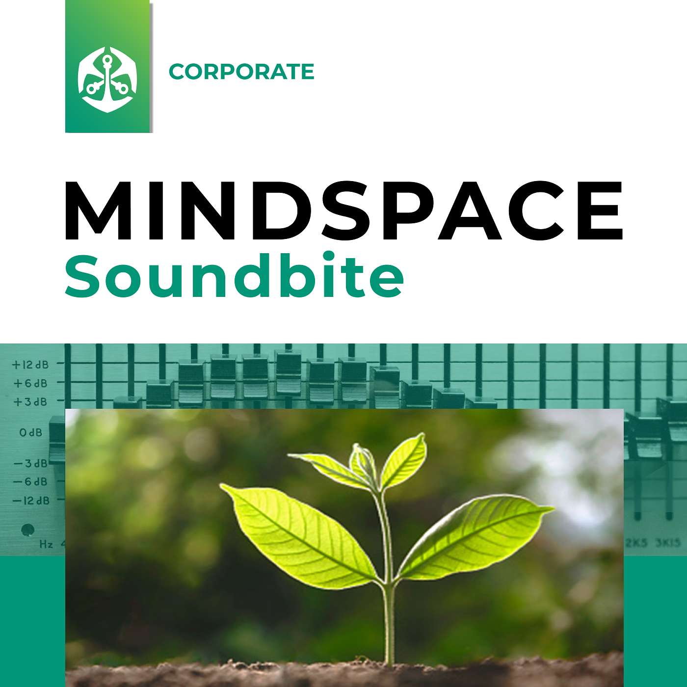 MINDSPACE Soundbite - What our retirement research revealed episode artwork