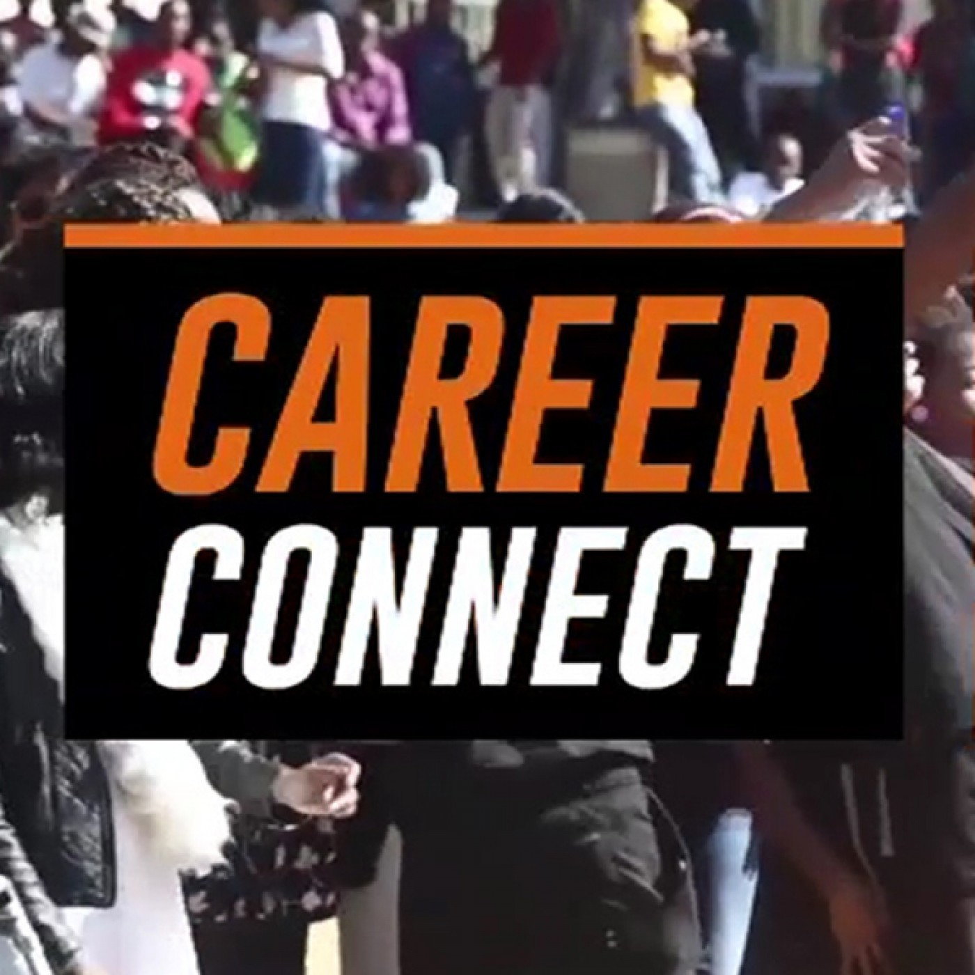 How to unpack a writing career