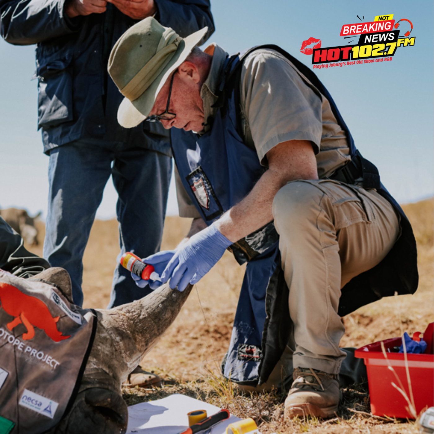 SA Rhino Horns Get a Safe Glow to Outsmart Smugglers episode artwork