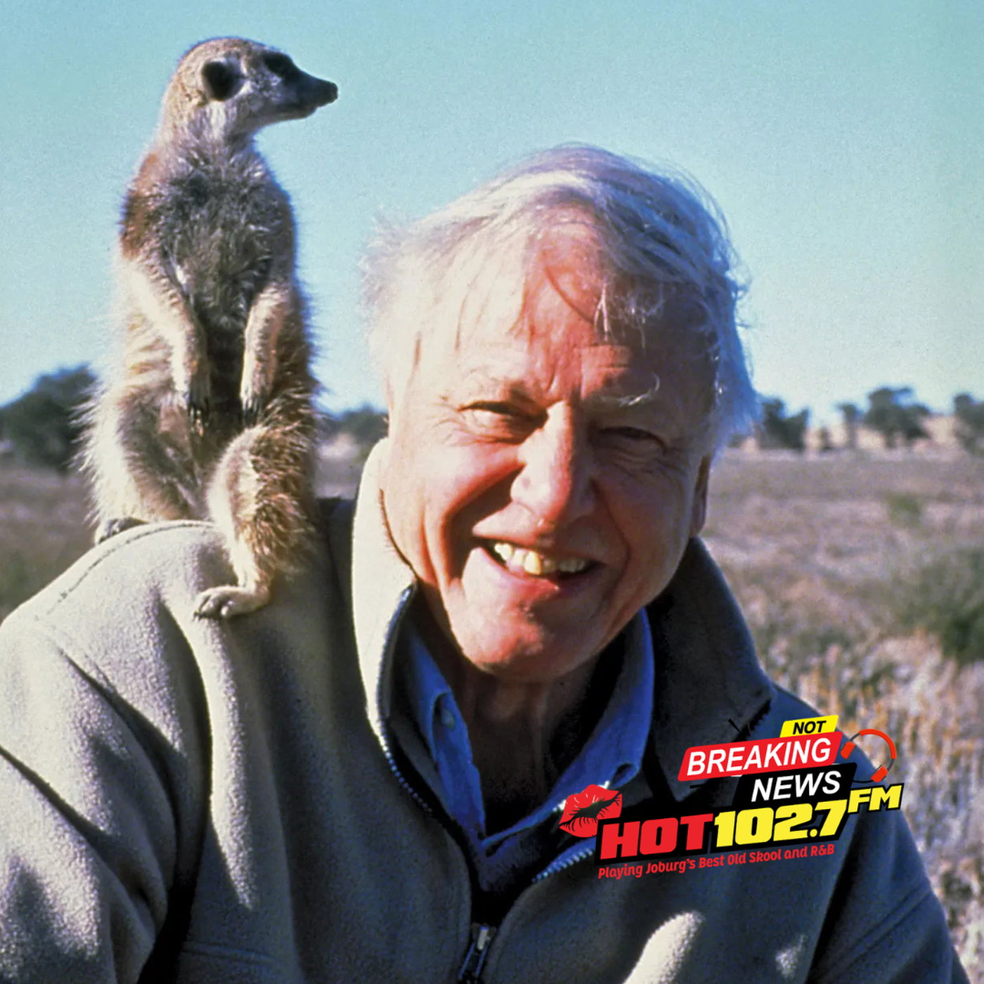 David Attenborough is 100 years old episode artwork
