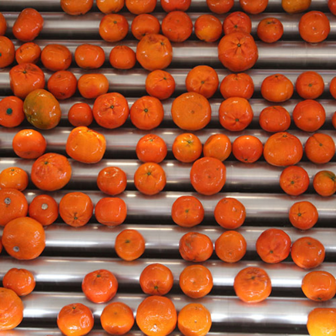 SA Fruit Industry Struggles Under Strong Rand and Trade Barriers episode artwork