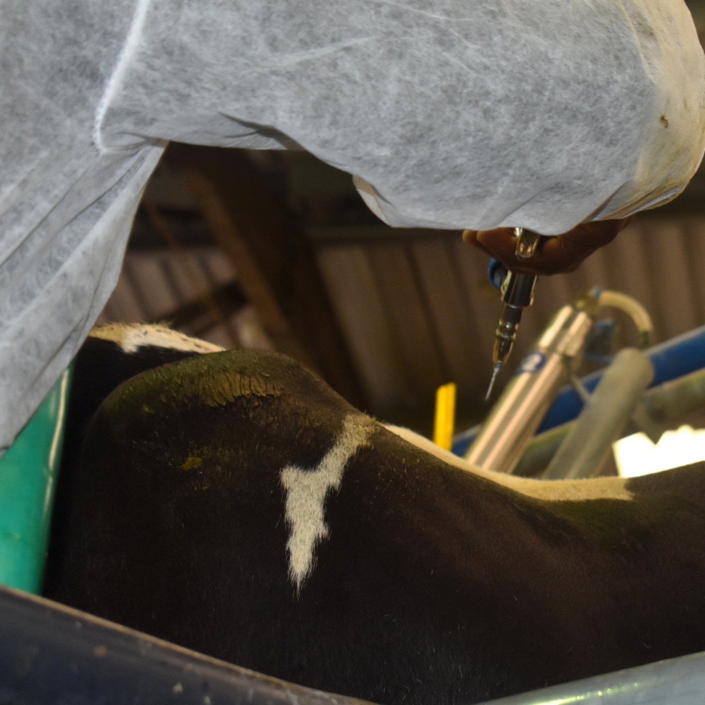 Border Bottlenecks and Biosecurity: A Turning Point for Local Producers episode artwork