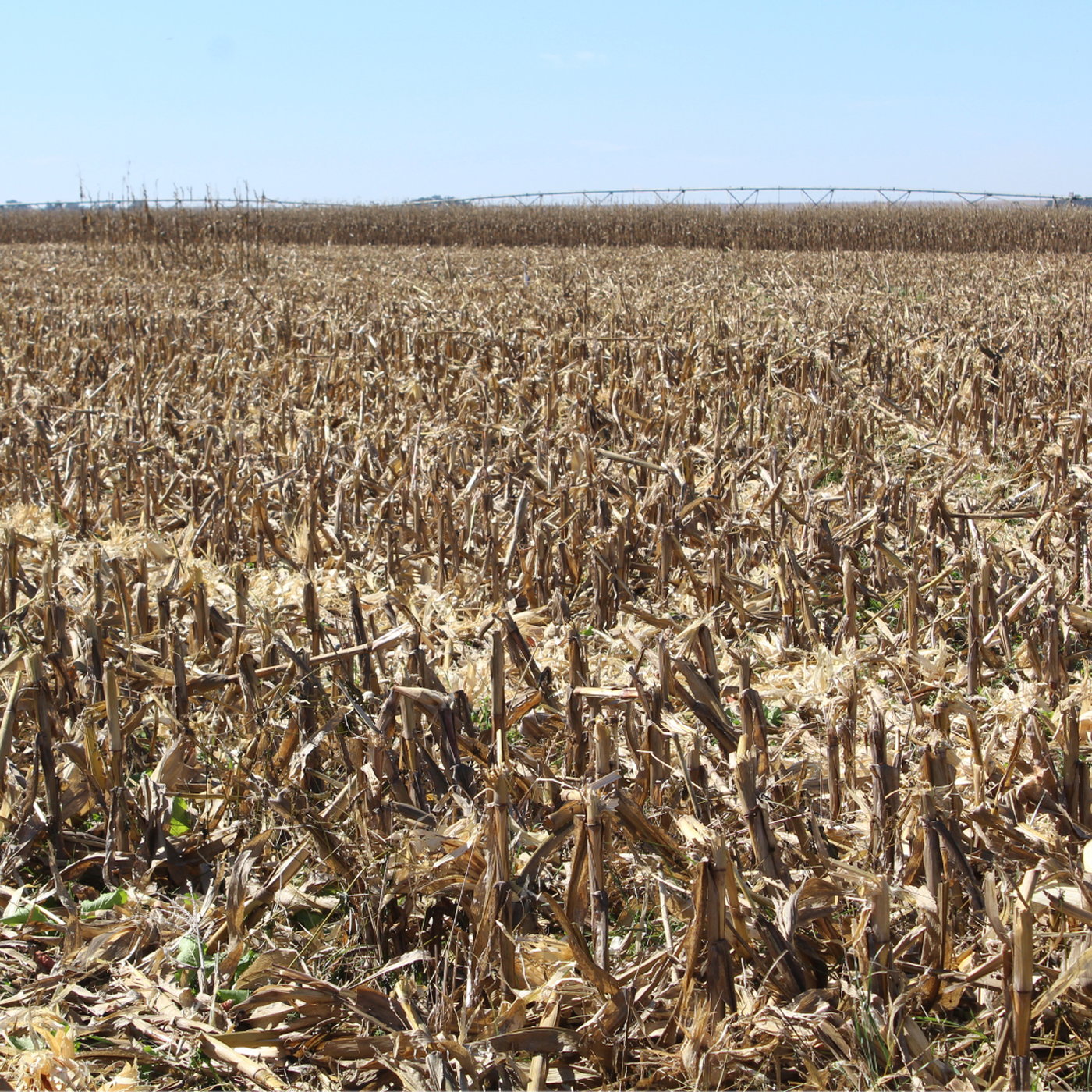 Carbon Partnership Eases Farmer Burden episode artwork