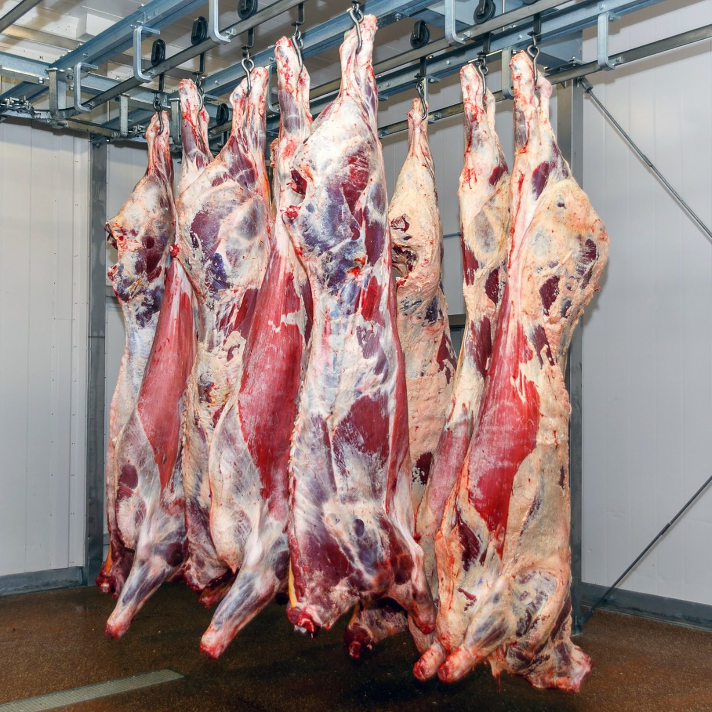 New national FMD control measures, global export focus for beef, and the Spar Kirkwood Wildsfees episode artwork
