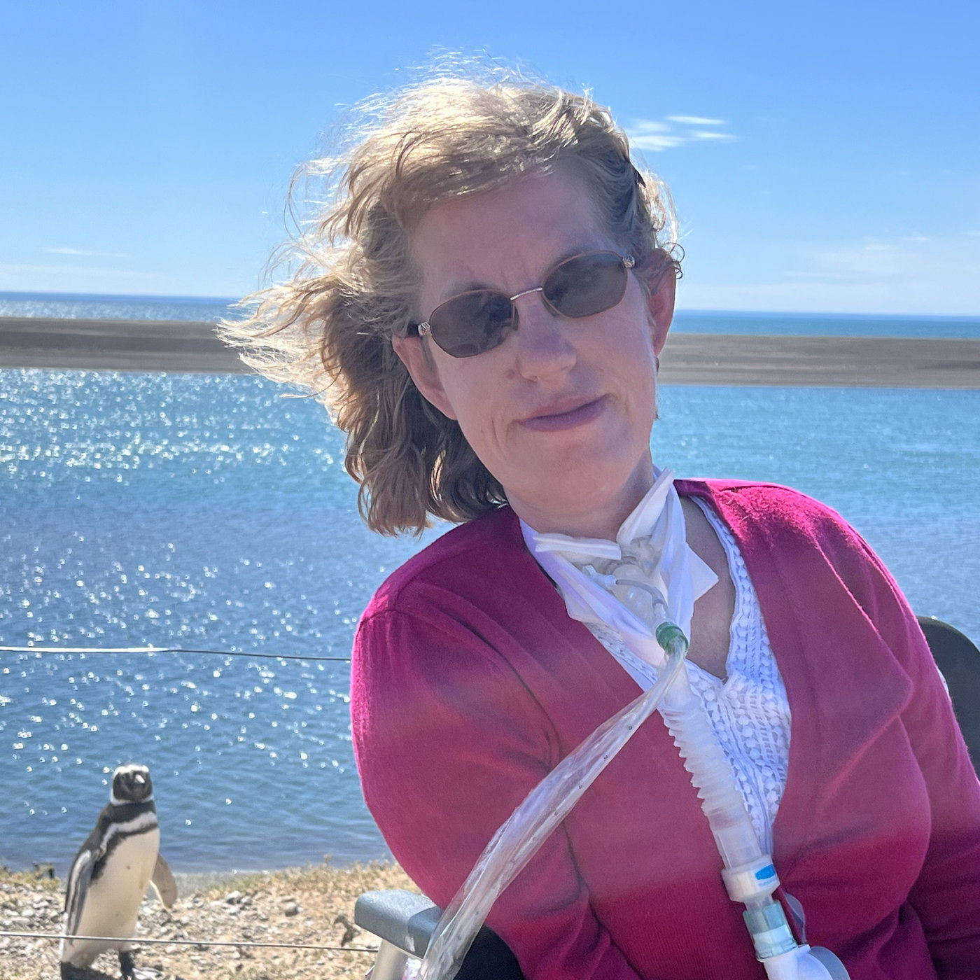 76 - Kristin Secor on Accessible Travel and the World on Wheels Blog episode artwork