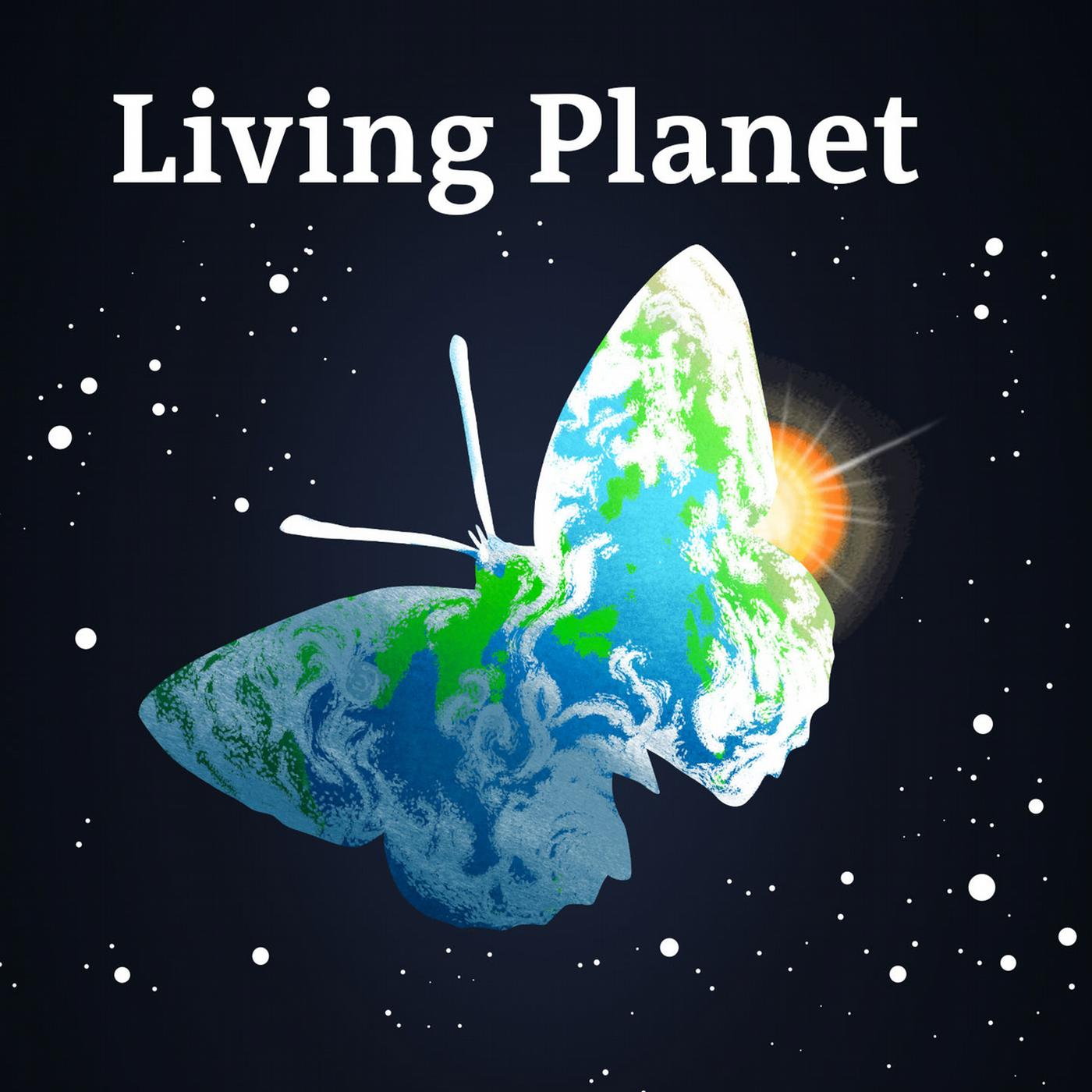 AI can unlock nature’s symphony, but can it save biodiversity? episode artwork