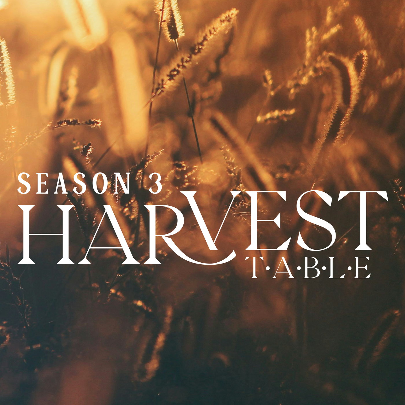 Episode 1: Bringing It To The Cross 2024 episode artwork